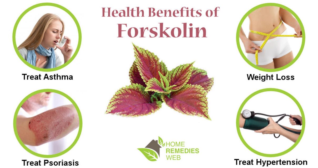 Forskolin health benefits