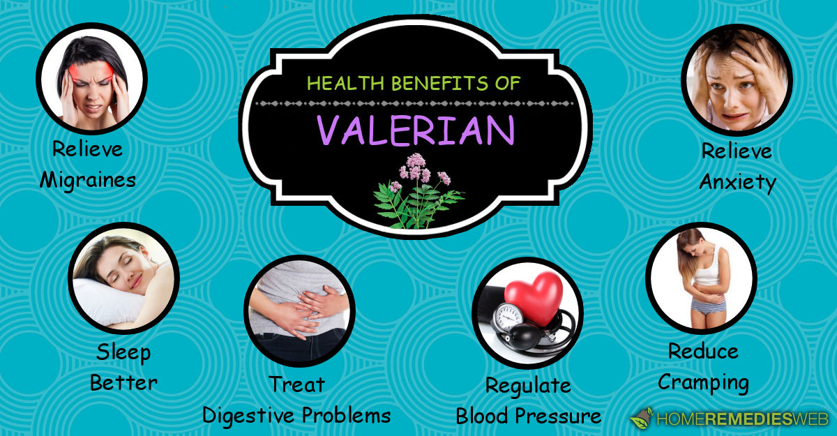 Valerian Root Top 7 Benefits For Healthand Body Skin