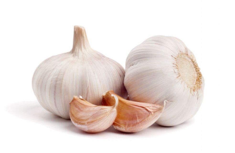 Garlic